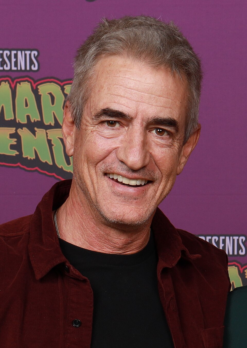 Dermot Mulroney — Biography & Quotes