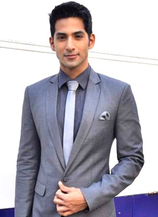 Vivan Bhatena: Biography, Life Milestones & Enduring Legacy — Celebration Guide & Ideas